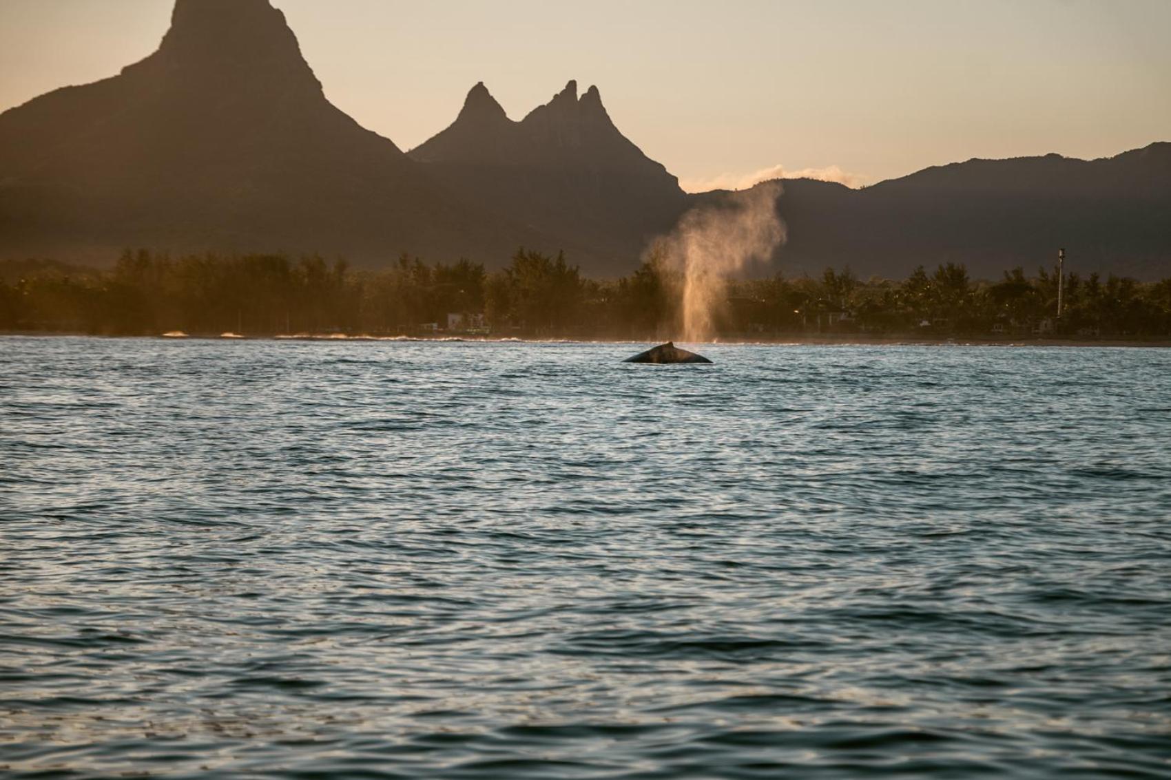 La Mariposa Mauritius Hotel Rivière Noire Buitenkant foto